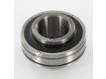 CUC207-22-SNR