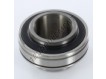 CUC209-28-SNR
