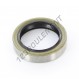Joint SPI - DC-40X55X12-NBR