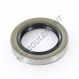 Joint SPI - DC-40X60X10-NBR