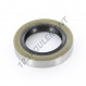 Joint SPI - DC-40X62X12-NBR