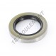 Joint SPI - DC-42X62X10-NBR
