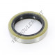 Joint SPI - DC-45X62X12-NBR