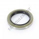 Joint SPI - DC-50X70X10-NBR