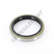 Joint SPI - DC-63X80X12-NBR