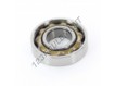E13-SKF