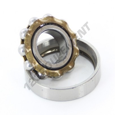E13-SKF