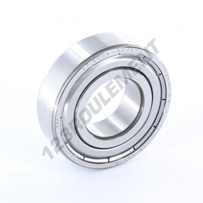 E2.6004-2Z-C3-SKF