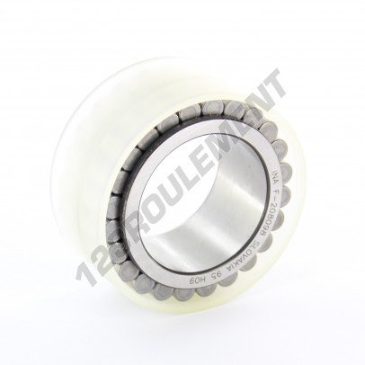 F-208098-RNN-SKF