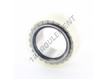 F-208098-RNN-SKF