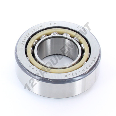 F-236120-03-SKL-AM-FAG