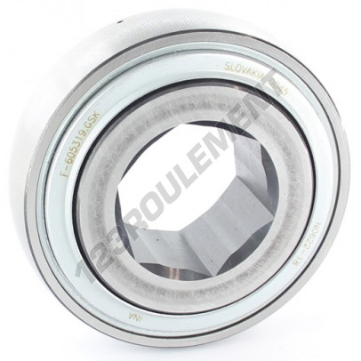 F-605319-GSK-INA