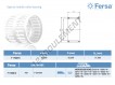 F17033K-ASFERSA