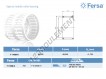 F17059K-ASFERSA