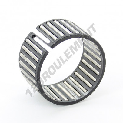 F219529-1-INA