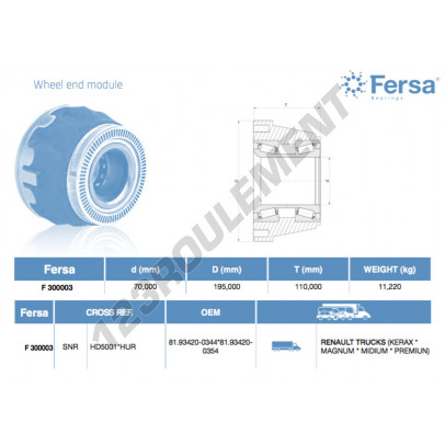 F300003-ASFERSA