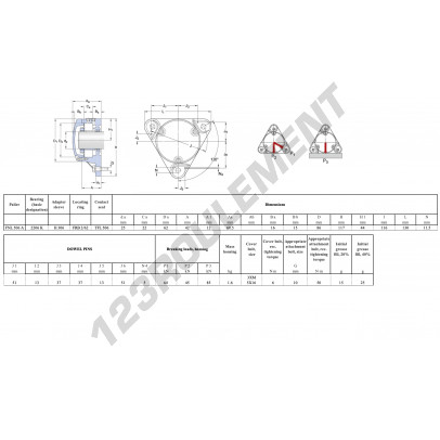 FNL-506-A-2206-K-H306-SKF