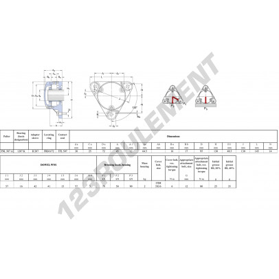 FNL-507-A-1207-K-H207-SKF