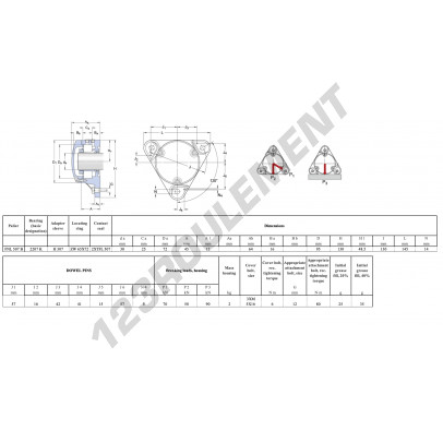 FNL-507-B-C-2207-K-H307-E-SKF