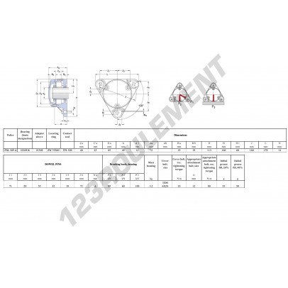 FNL-509-A-22209-K-H309-SKF