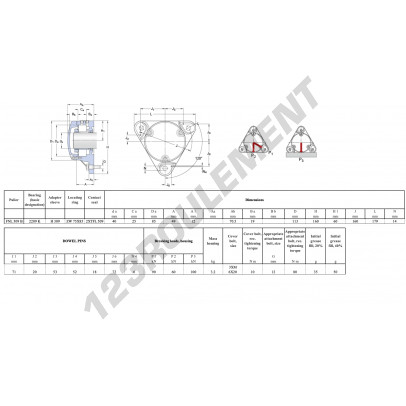 FNL-509-B-2209-K-H309-SKF