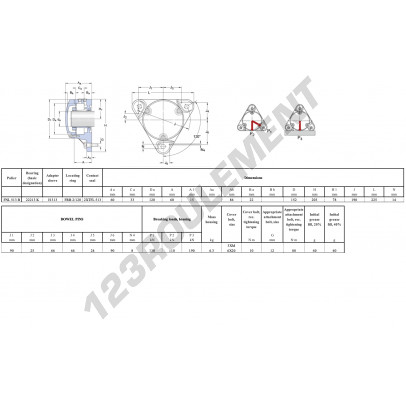 FNL-513-B-22213-K-H313-SKF