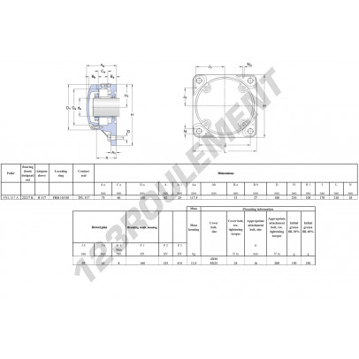 FNL-517-A-22217-K-H317-SKF