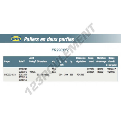 FR290X17-SNR