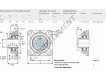 FY17-TF-SKF