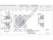 FY20-TF-SKF