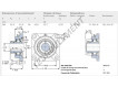 FY20-WF-SKF
