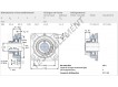 FY30-FM-SKF