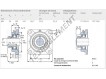 FY45-FM-SKF