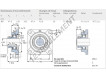 FY55-FM-SKF