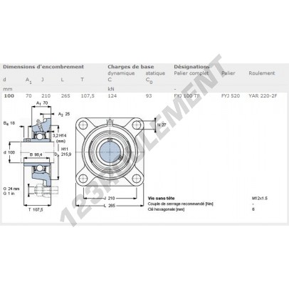 FYJ100TF-SKF
