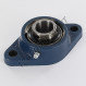 Palier - 2 fixations - FYTB25-TF-SKF