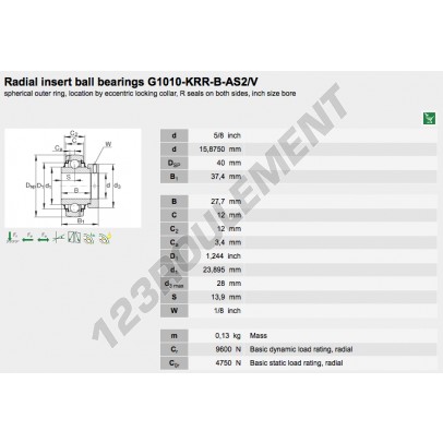 G1010-KRR-B-AS2-V-INA