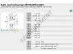 GAY108-NPP-B-AS2-V-INA