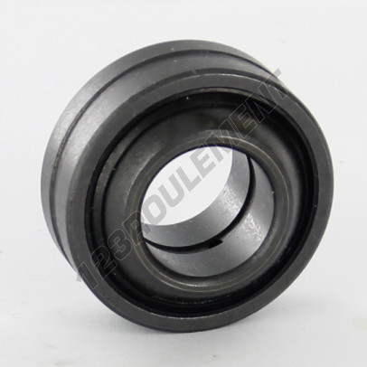 GE17GS-2RS-IKO