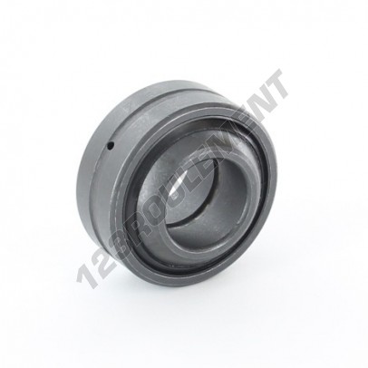 GE20GS-2RS-IKO