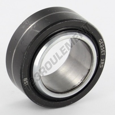 GE25-ET-2RS