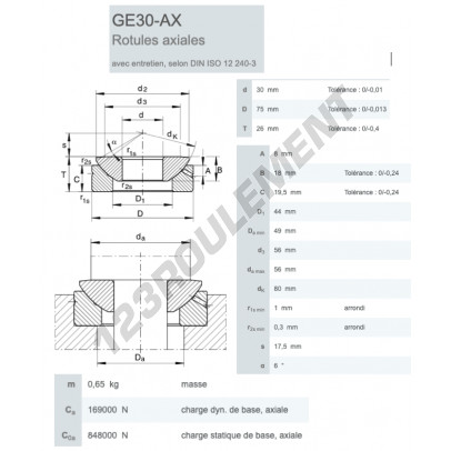 GE30-AX-INA