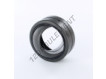 GE45GS-2RS-IKO