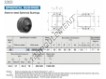 GE50GS-2RS-IKO