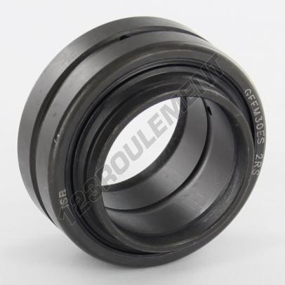 GEEM030-ES-2RS