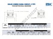 GG090-CP0-RBC