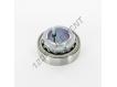 GSH35-XL-2RSR-B-INA