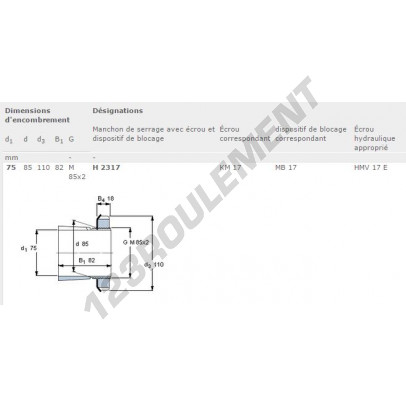 H2317-SKF