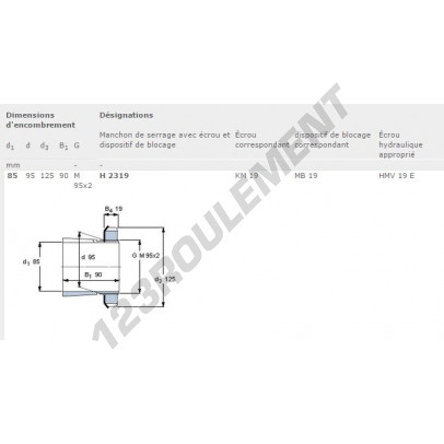 H2319-SKF