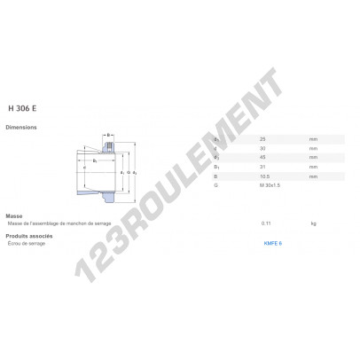H306E-SKF